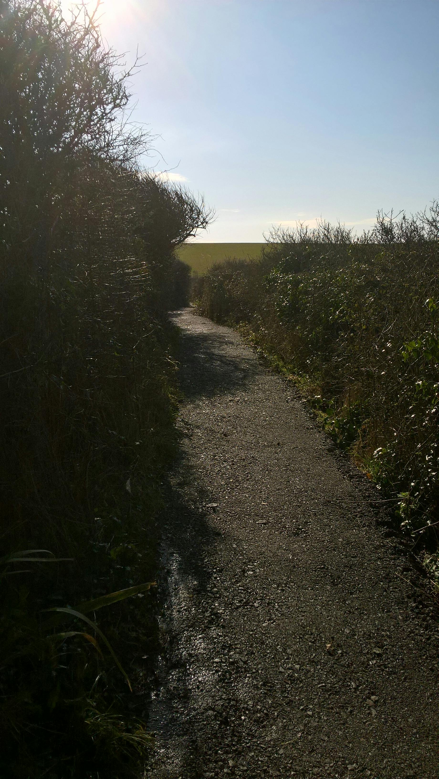Dorset coast path - after works2