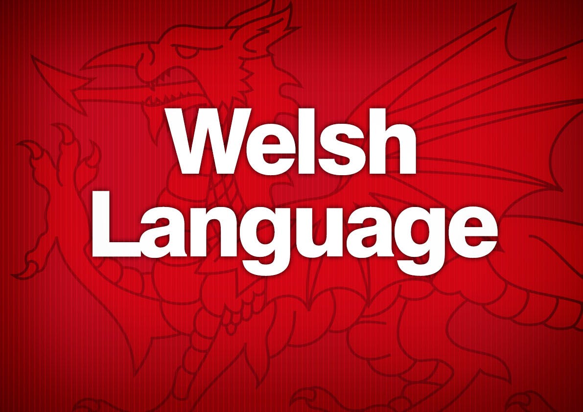 Team member, Welsh Language Services