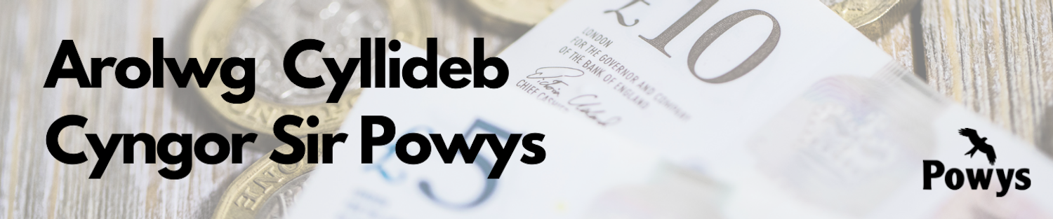 Pound coins and ten and five pound note, with 'Powys County Council Budget Survey' and the Powys logo in front