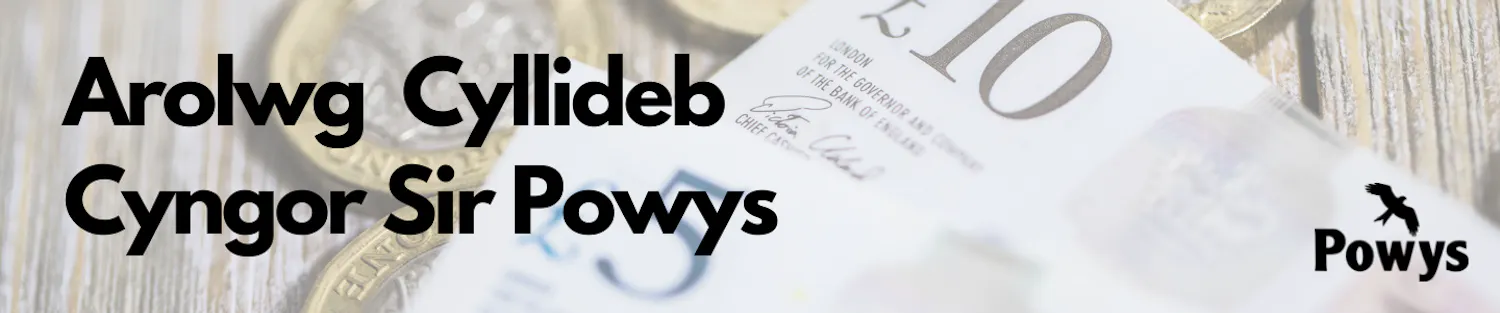 Pound coins and ten and five pound note, with 'Powys County Council Budget Survey' and the Powys logo in front