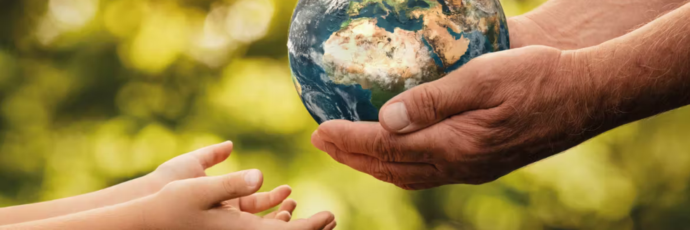 Zero Carbon Neutral Wealden District Council logo and hands holding the earth passing to a child's hands