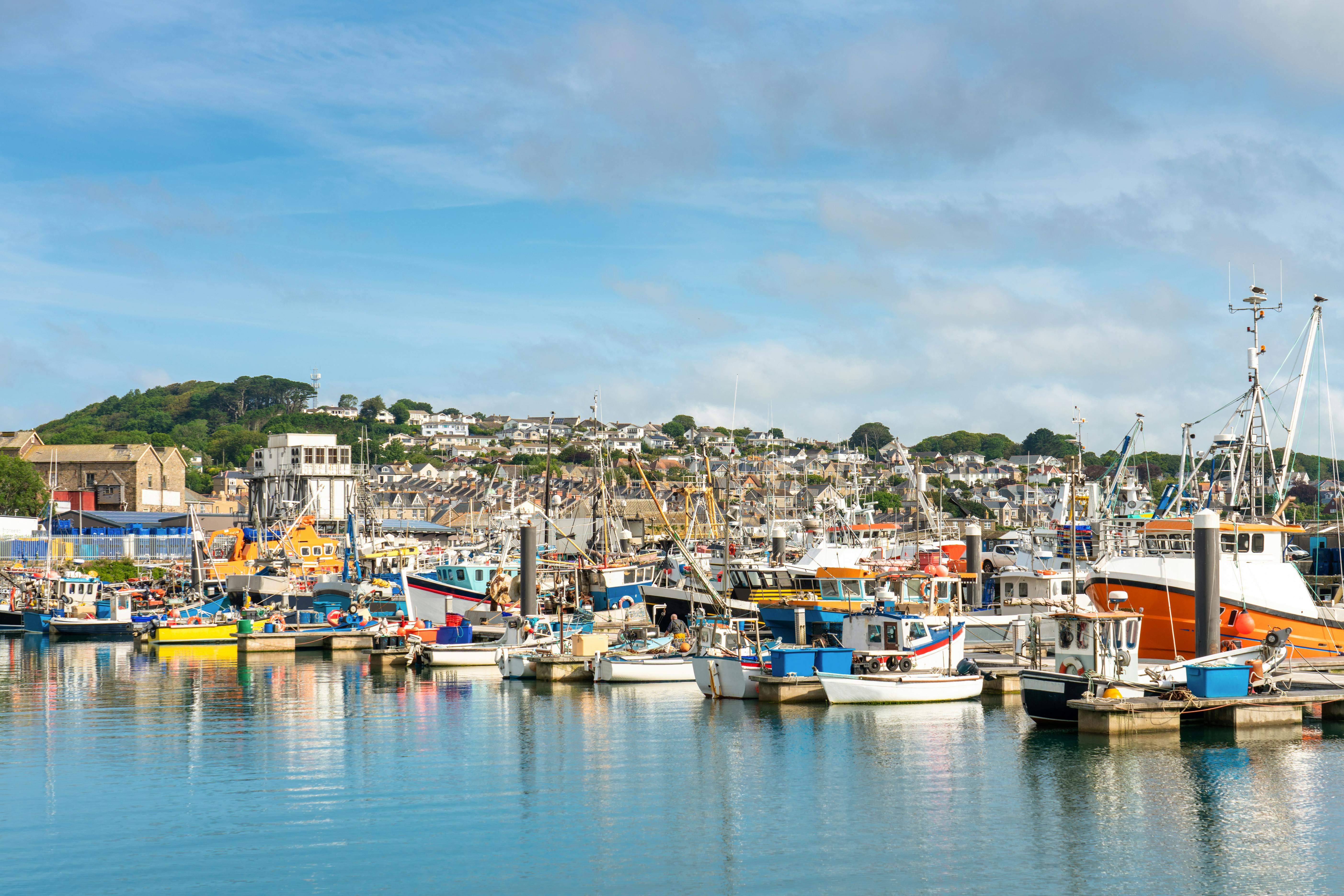 newlyn pic 3.jpg