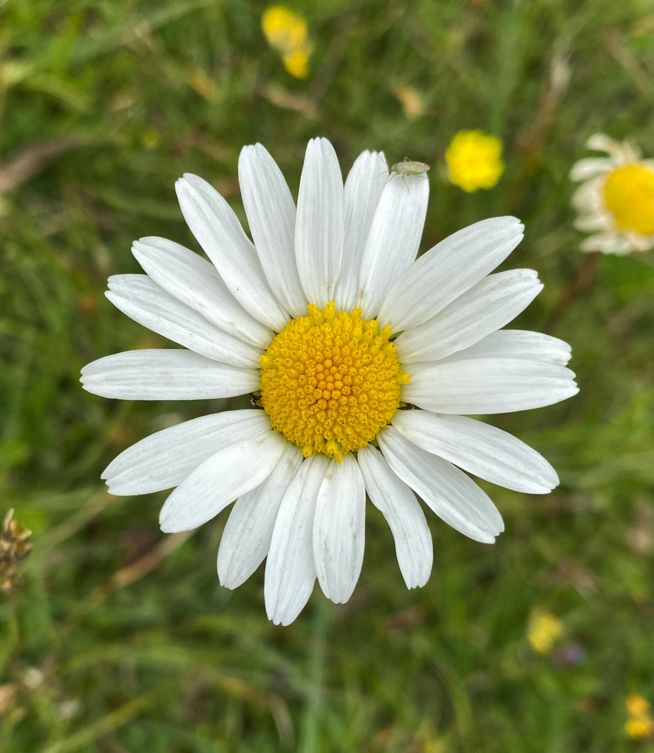 IMG_3418.jpeg