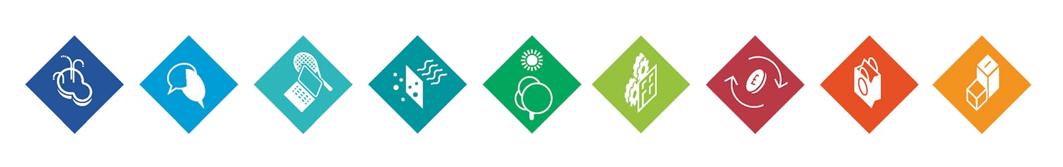 An image of the nine Sustainable Development Framework dimensions