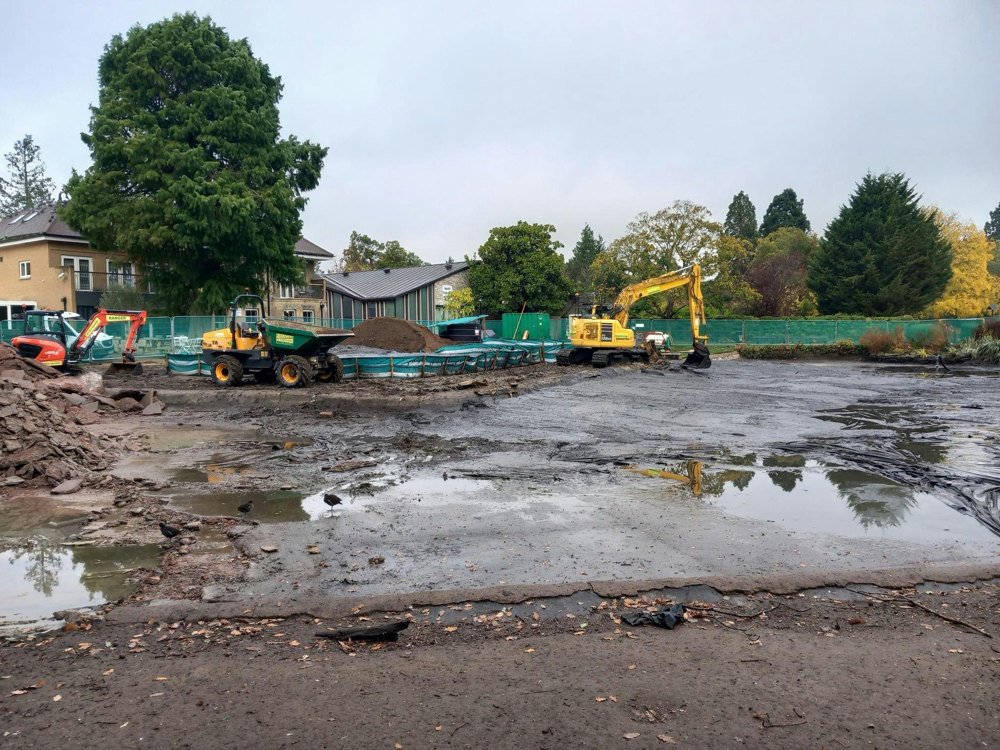 Pond Works Progress 221025_11.jpg