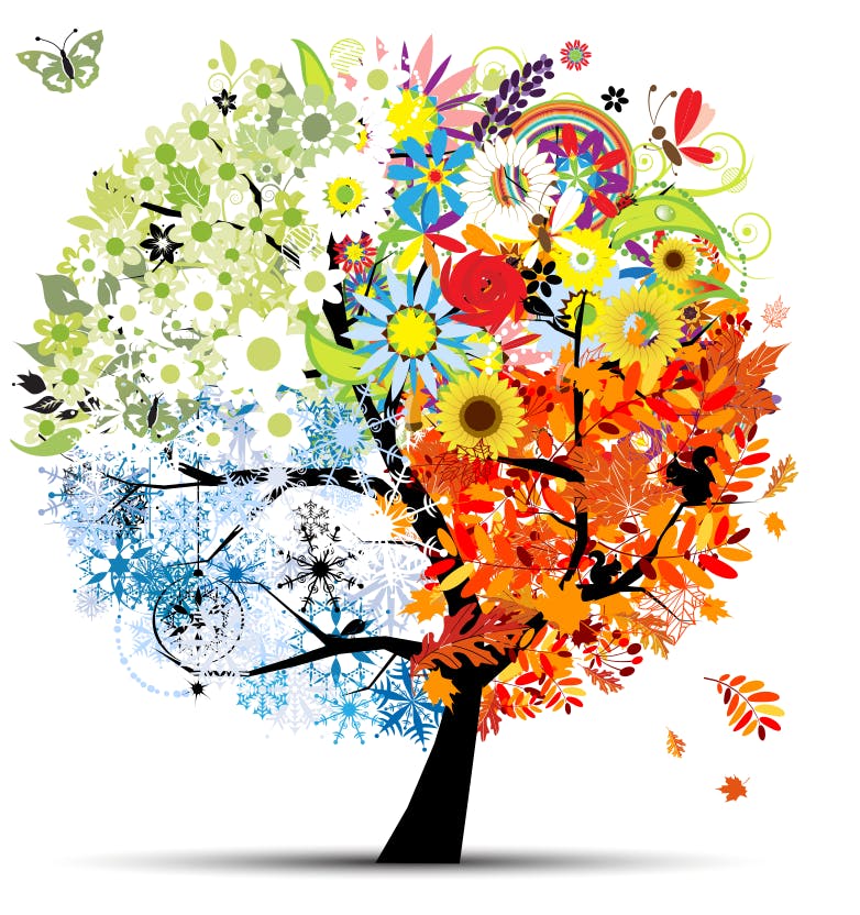 02_WildAboutNature_HYS_TREE.png