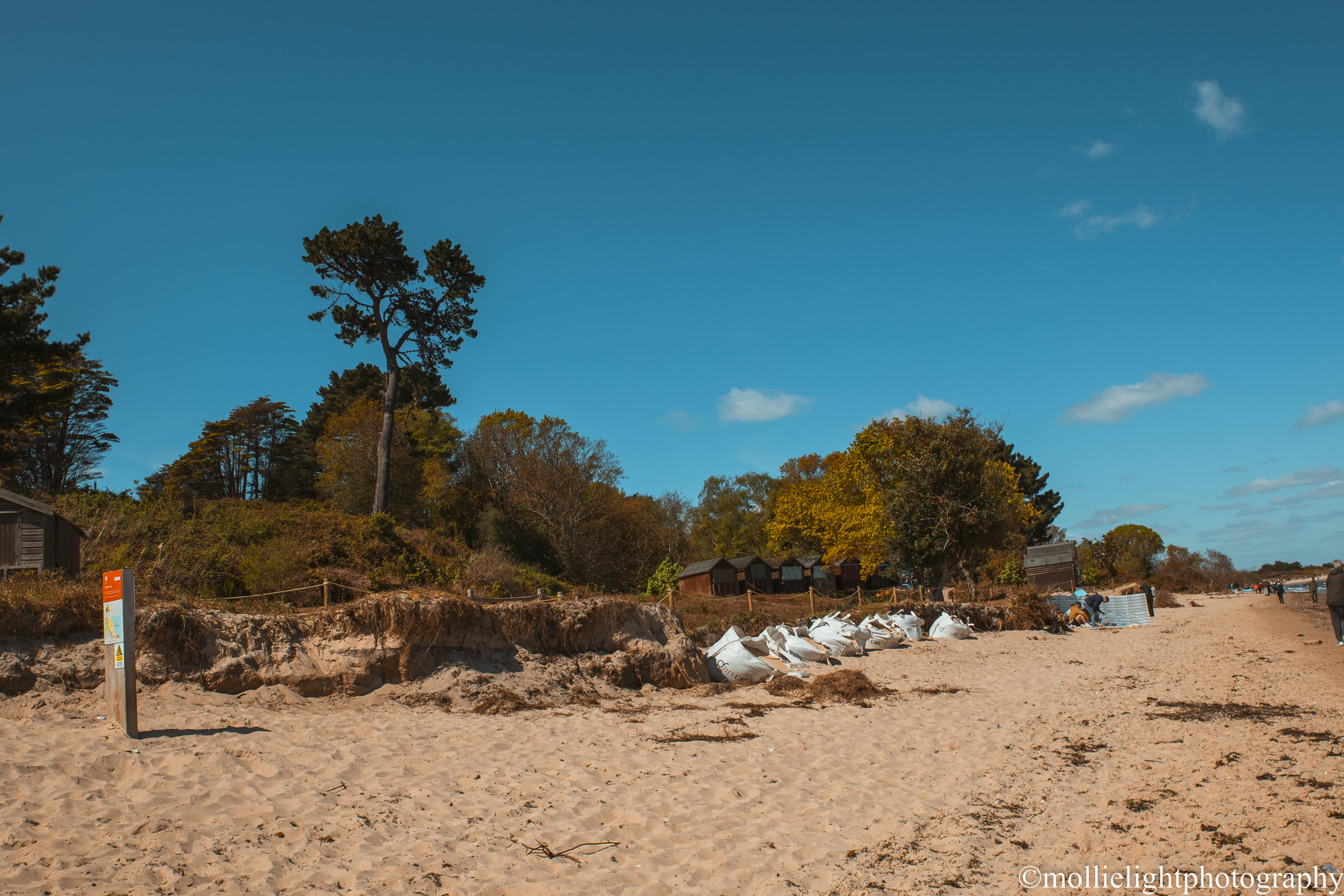 Studland-27.png