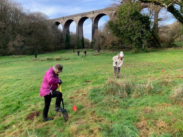 c007e70ee68de85eaff952089a455c33_staff_planting_trees_at_Porthkerry.jpg