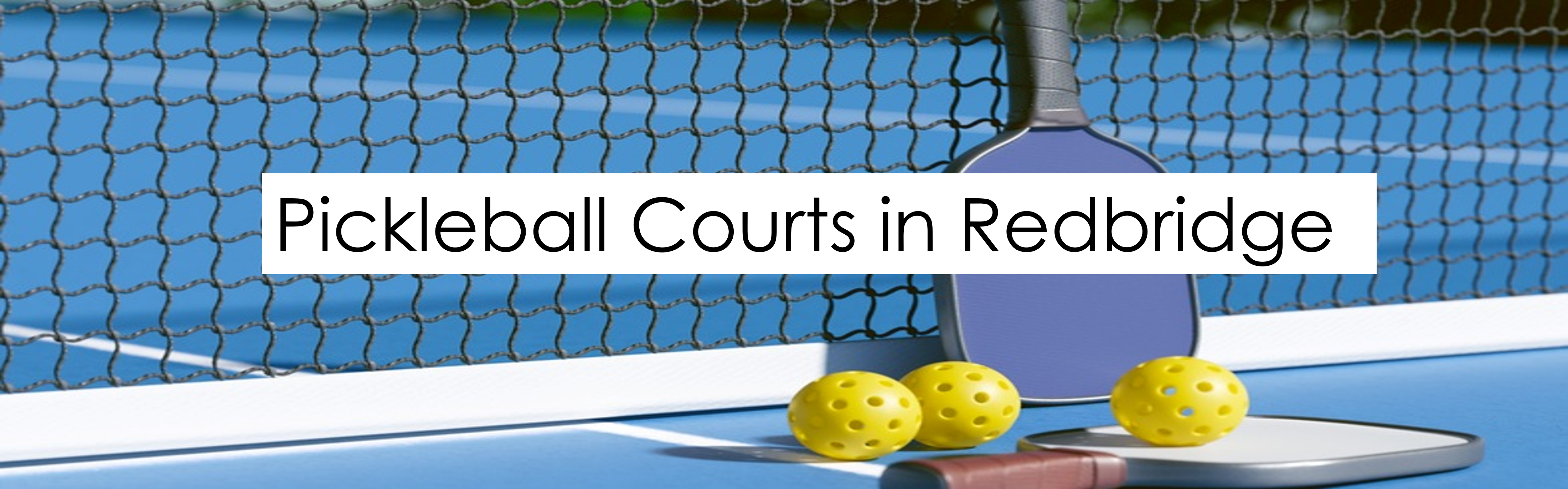 Image of a pickleball court and paddles