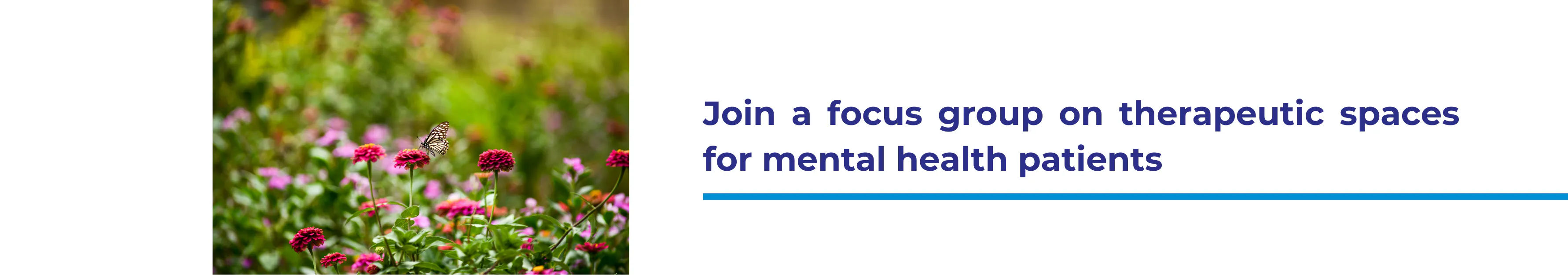 Photo of garden space, text reads 'Join a focus group on therapeutic spaces for mental health patients'