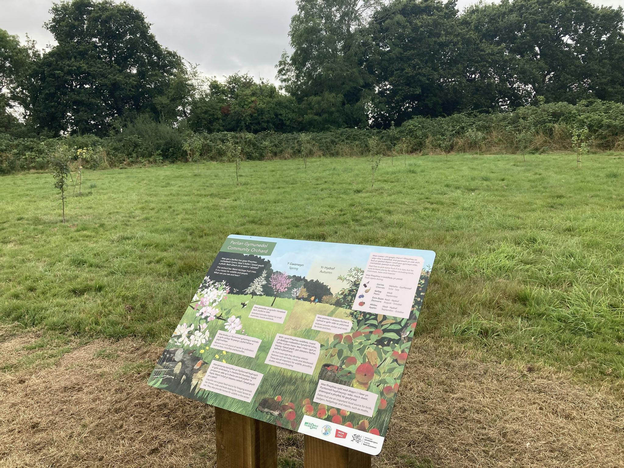 1bf18725acdf96c7e2eb505e7a33c1ab_St_Cyres_park_signage.jpg