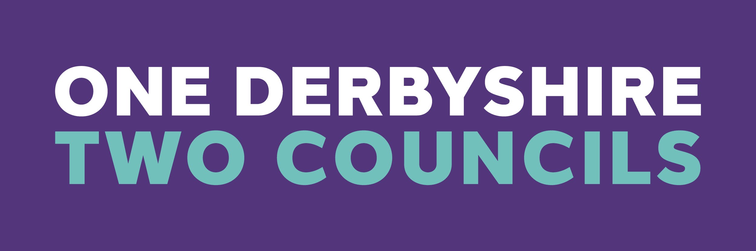  Banner shows the wording One Derbyshire Two Councils logo on a purple background