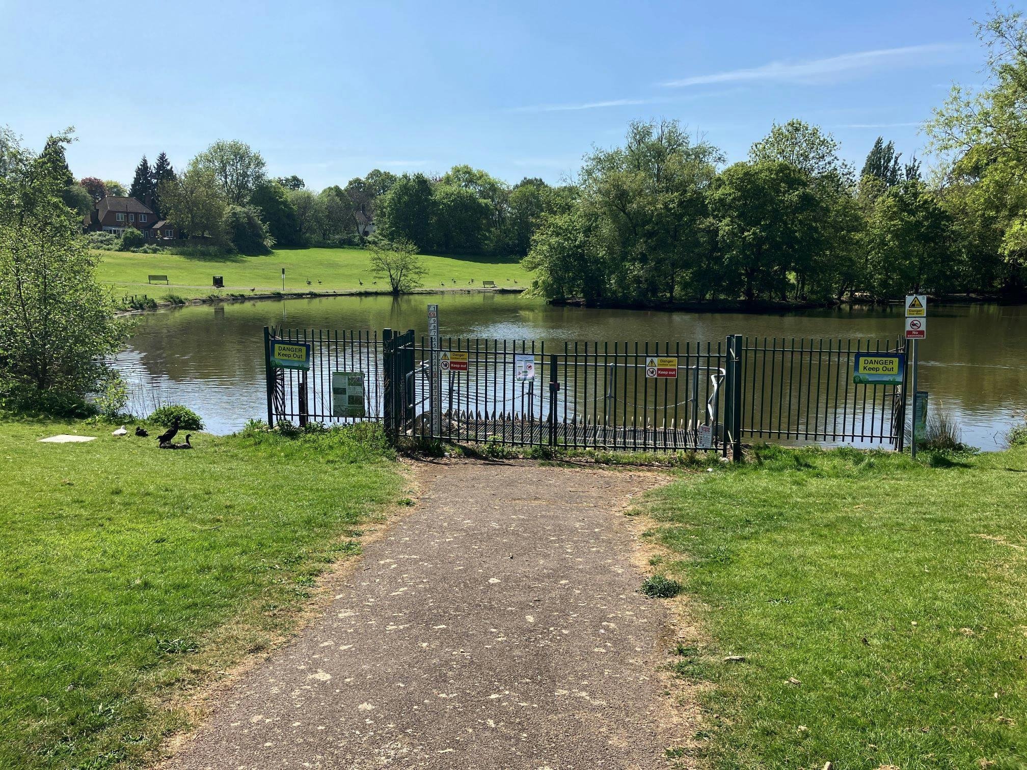 Braunstone Park Flood Storage Reservoir on a bright sunny day with vibrant green grass and trees. Numerous ducks can be seen along the bank. The water is at normal lake levels. 
