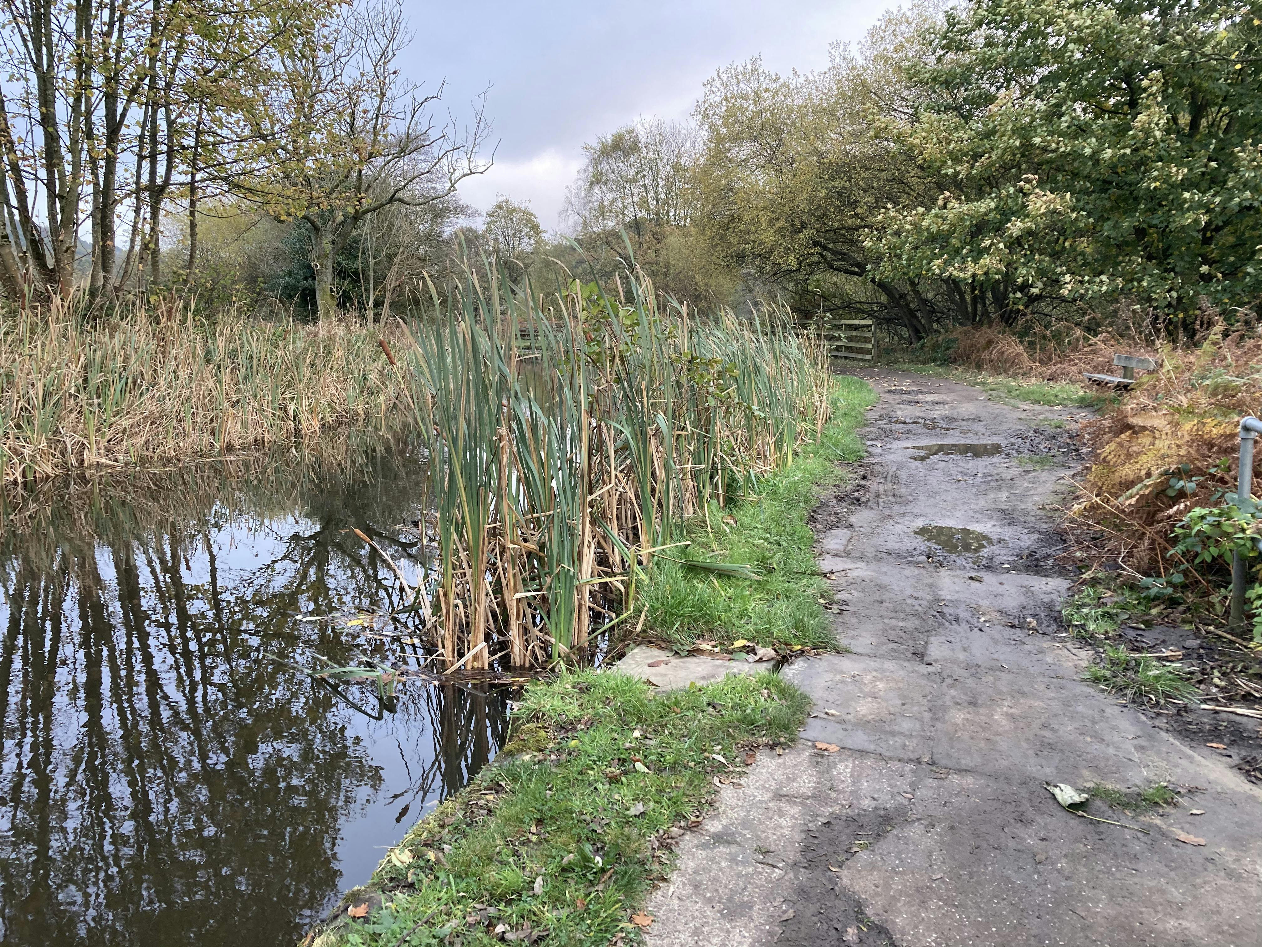 Previous towpath before improvements.jpg