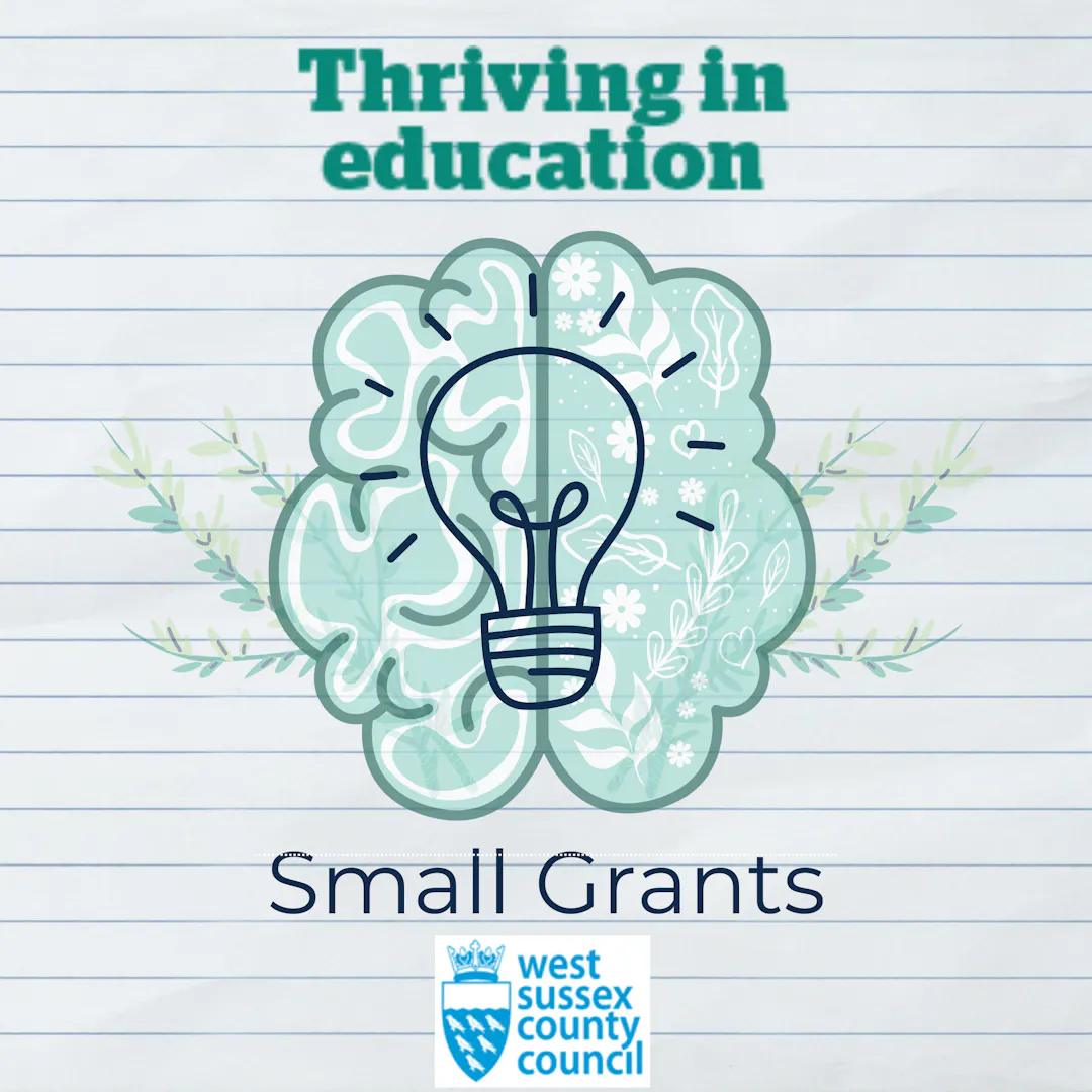 A brain with a lit lightbulb over it - at the top is Thriving in Education Logo, underneath is the title Small Grants