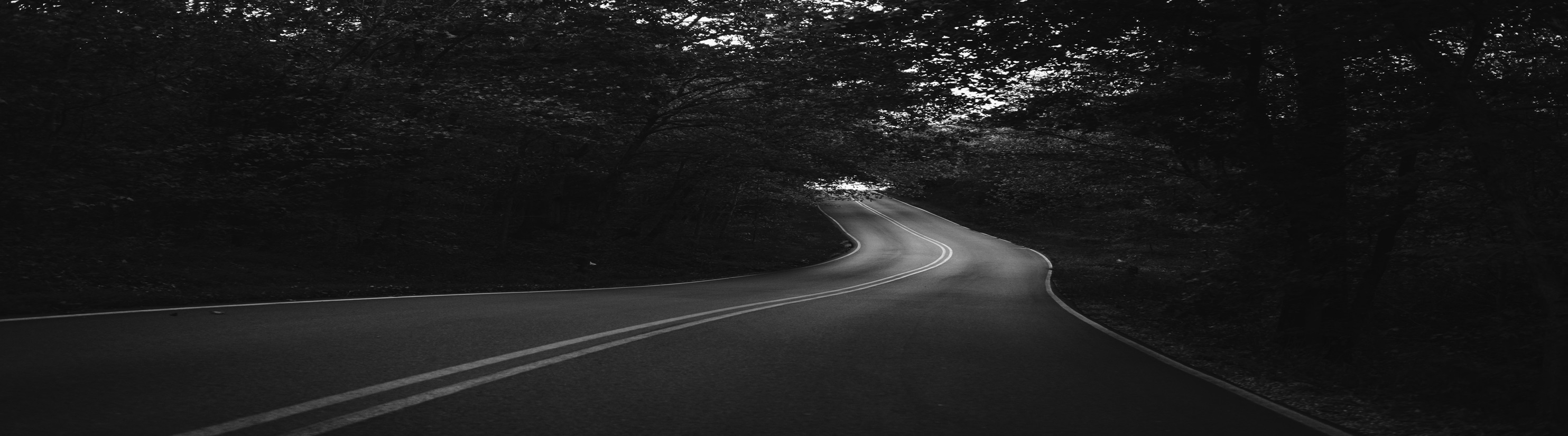 B&W photo of rural road through woods.