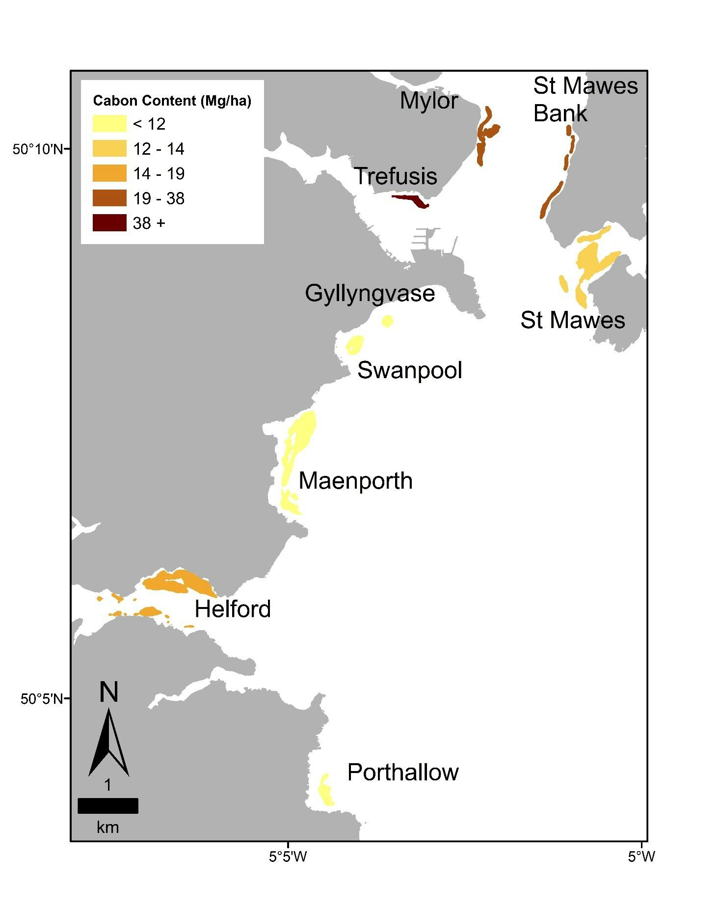 Seagrass carbon content - Fal & Helford SAC.jpg