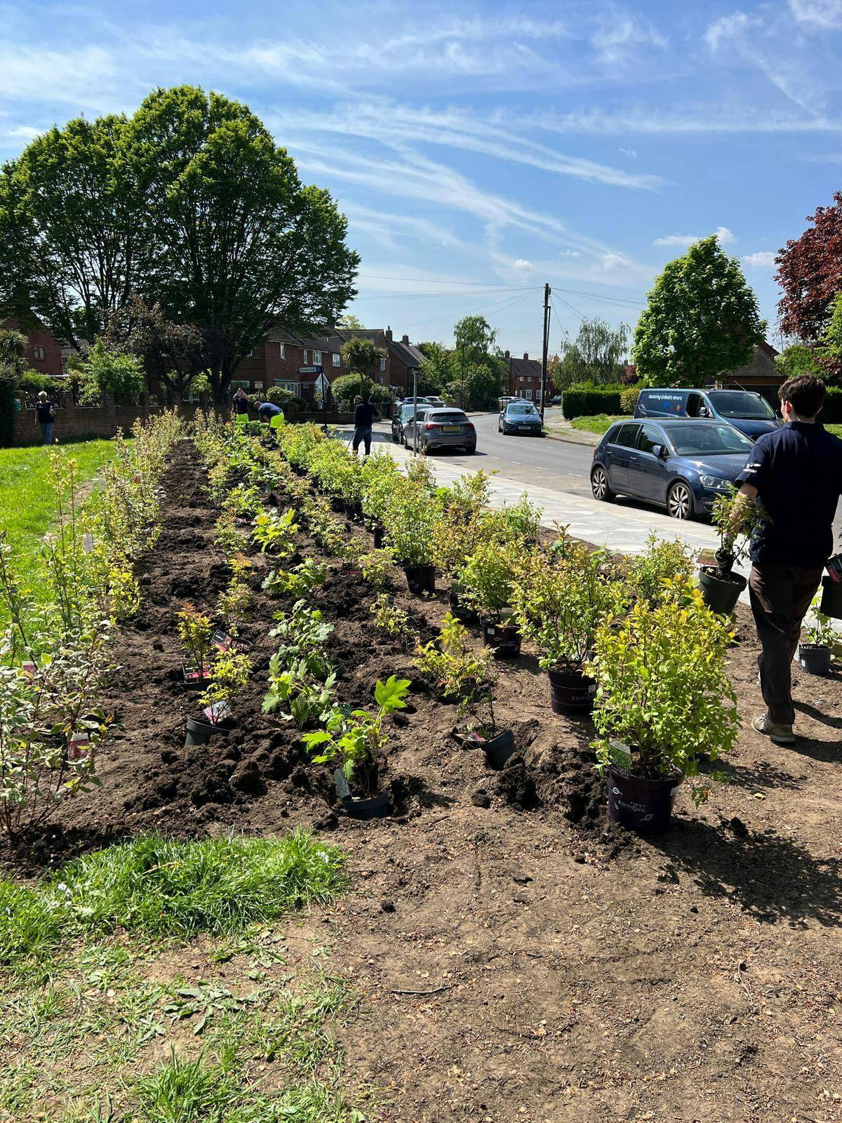 Renfrew Road Planting Day