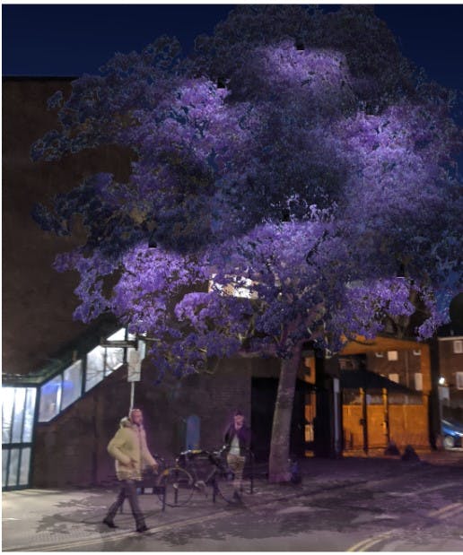 Lighting proposal to the foxglove tree on Hopetown Street
