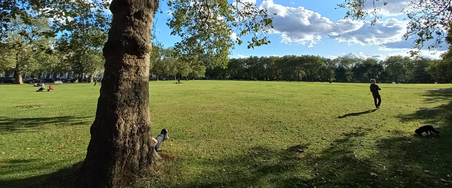 Highbury Fields on a sunny day, people doing outdoor activities, a dog sniffing the grass 