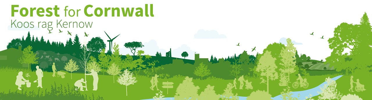 Forest for Cornwall banner image