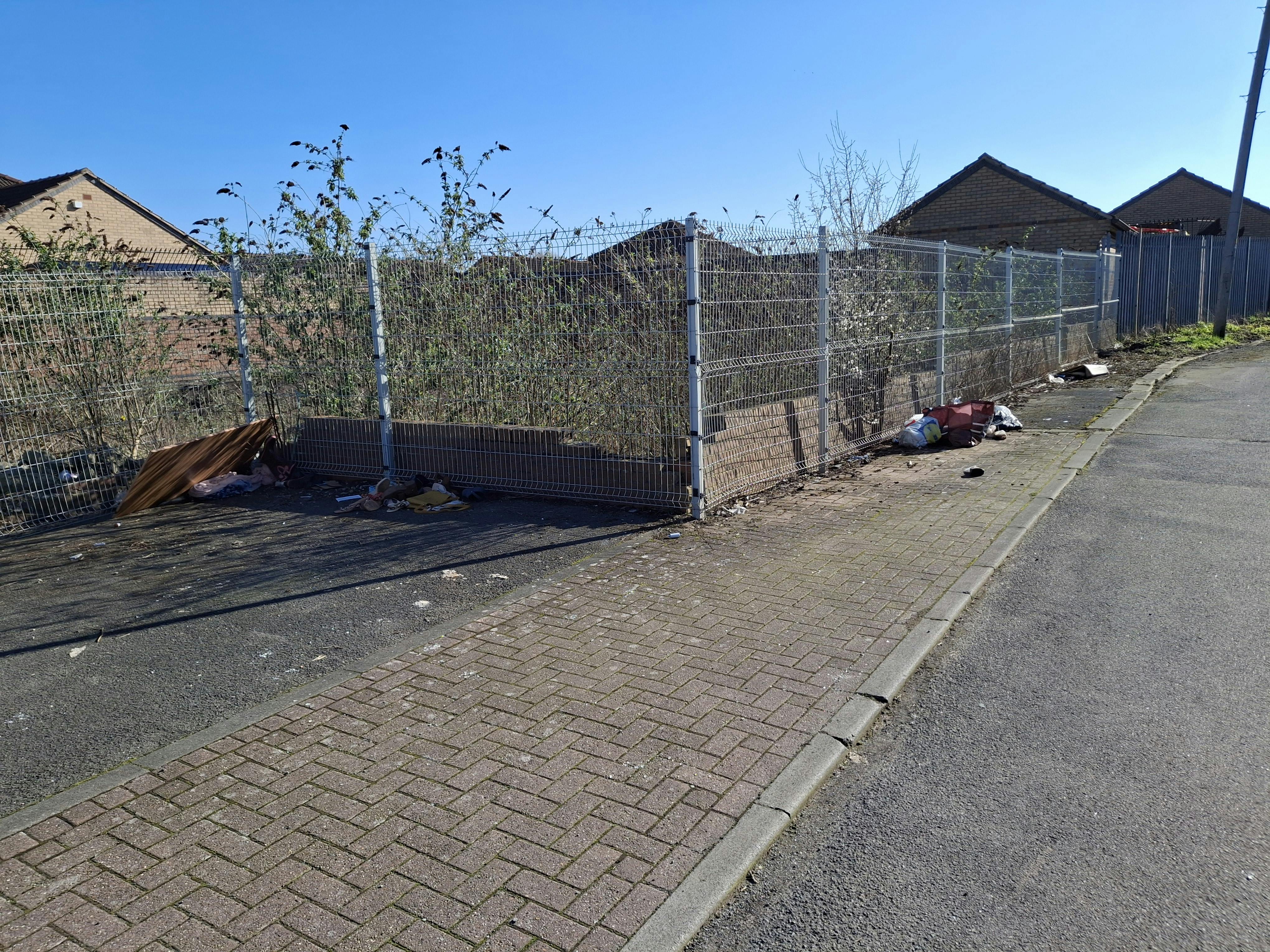 Bonsall Lane Clearance- Before