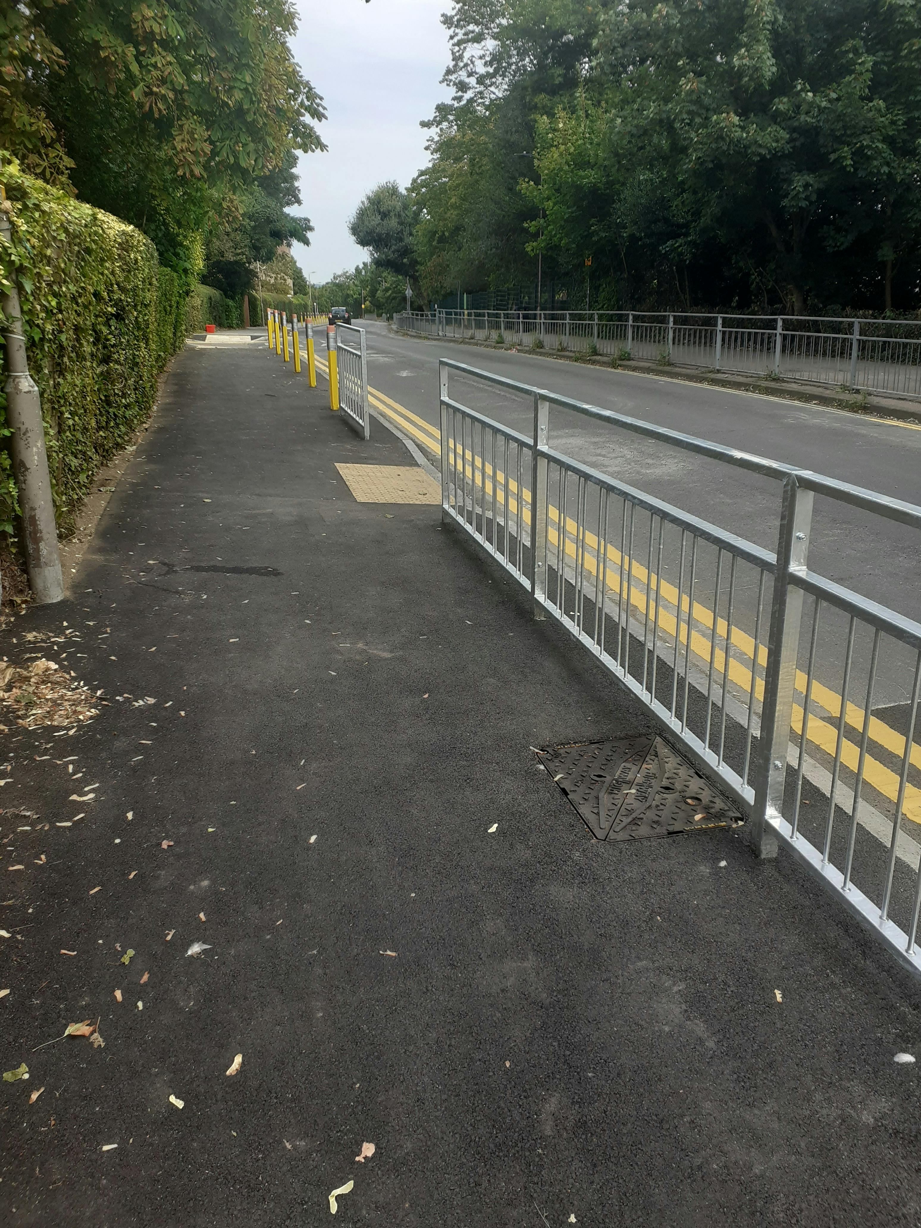 SHL footway widening and vegetation trimming 2