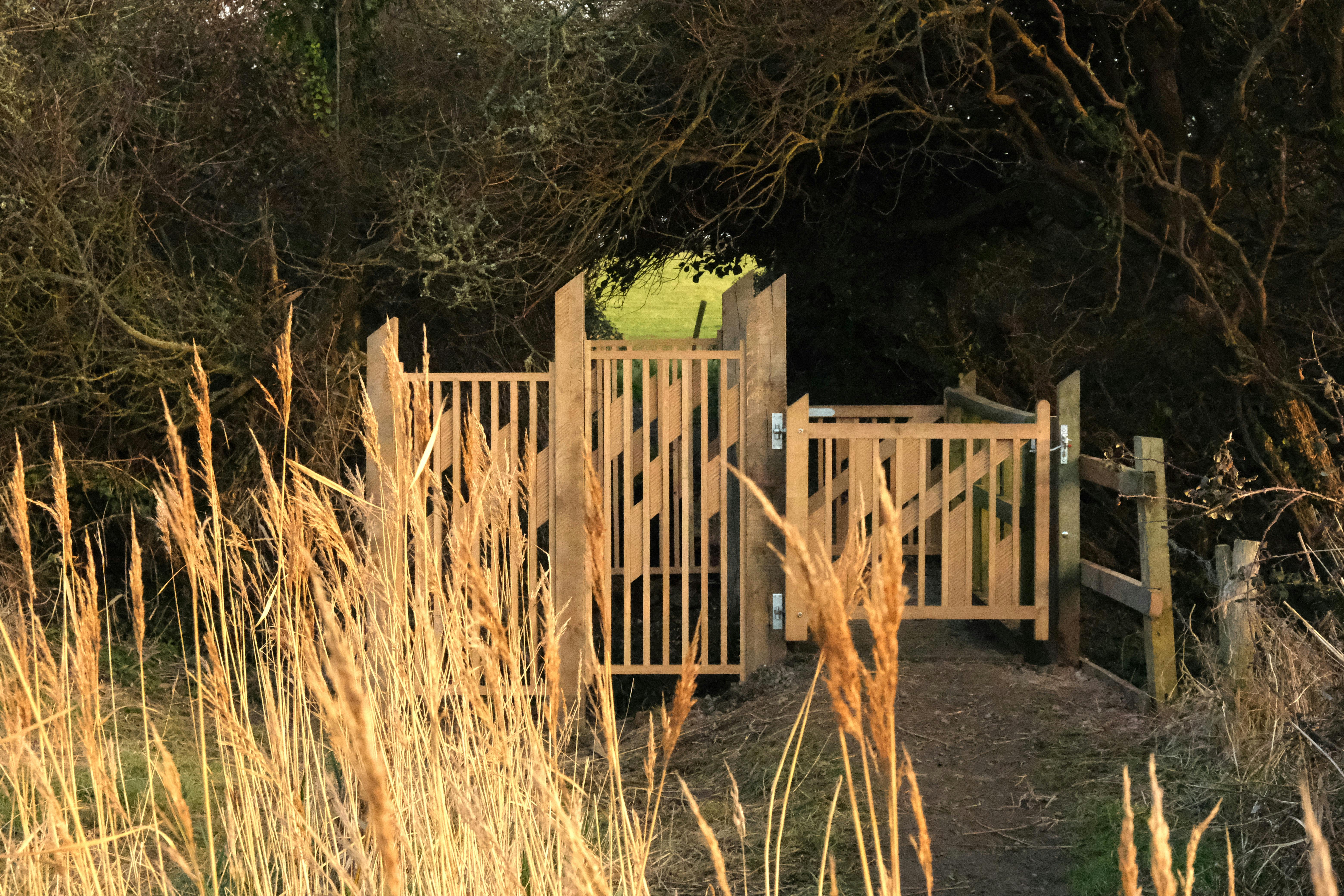 16. Chickerell to Fleet, Artists Eleanor Gould and Russell Denham.