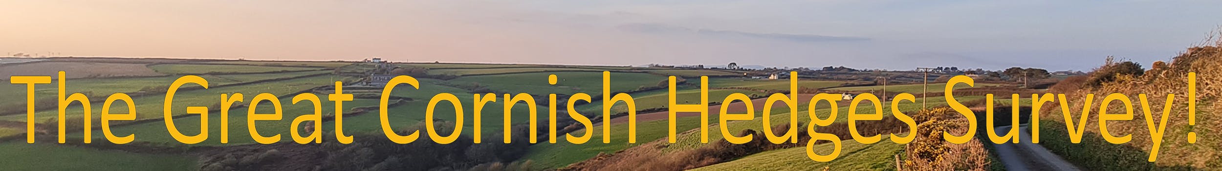 Image shows Cornish Hedges in a landscape with 'The Great Cornish Hedges Survey!' written across in Yellow
