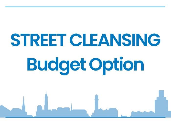 STREET CLEANSING Budget Option Logo