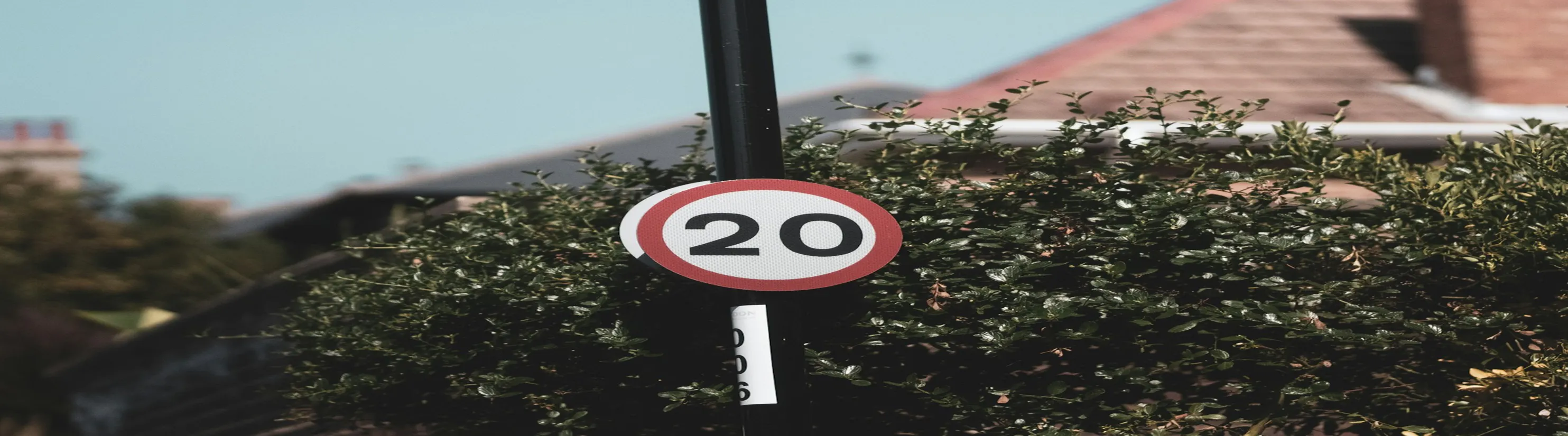 Photo of 20mph sign on pole in front of hedge.
