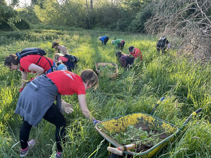 Invasive Species Control