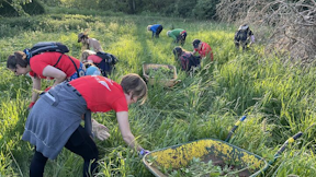Invasive Species Control