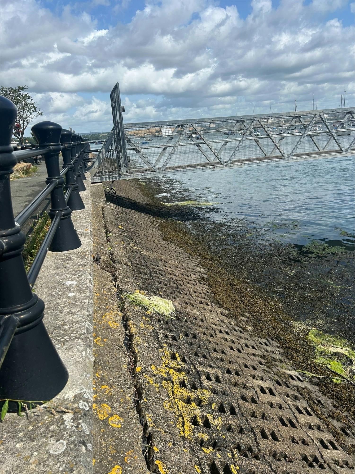 Existing Revetment Damage (8).jpeg