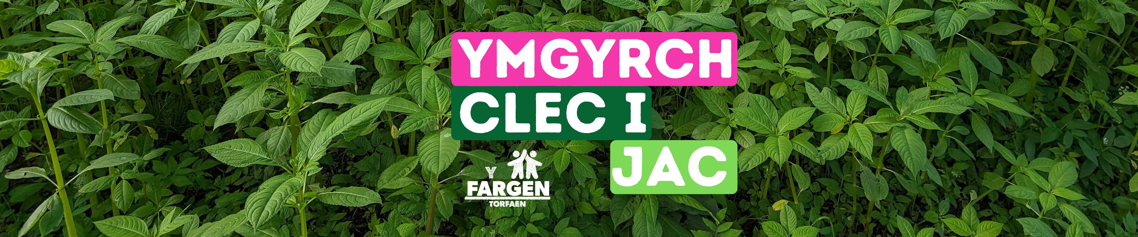 Baner y prosiect