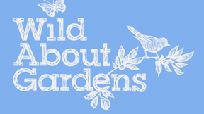 How to manage your garden for wildlife