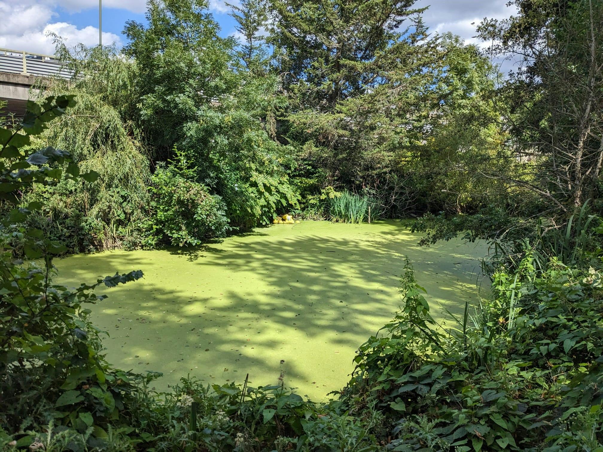 Clayponds - Carville Hall