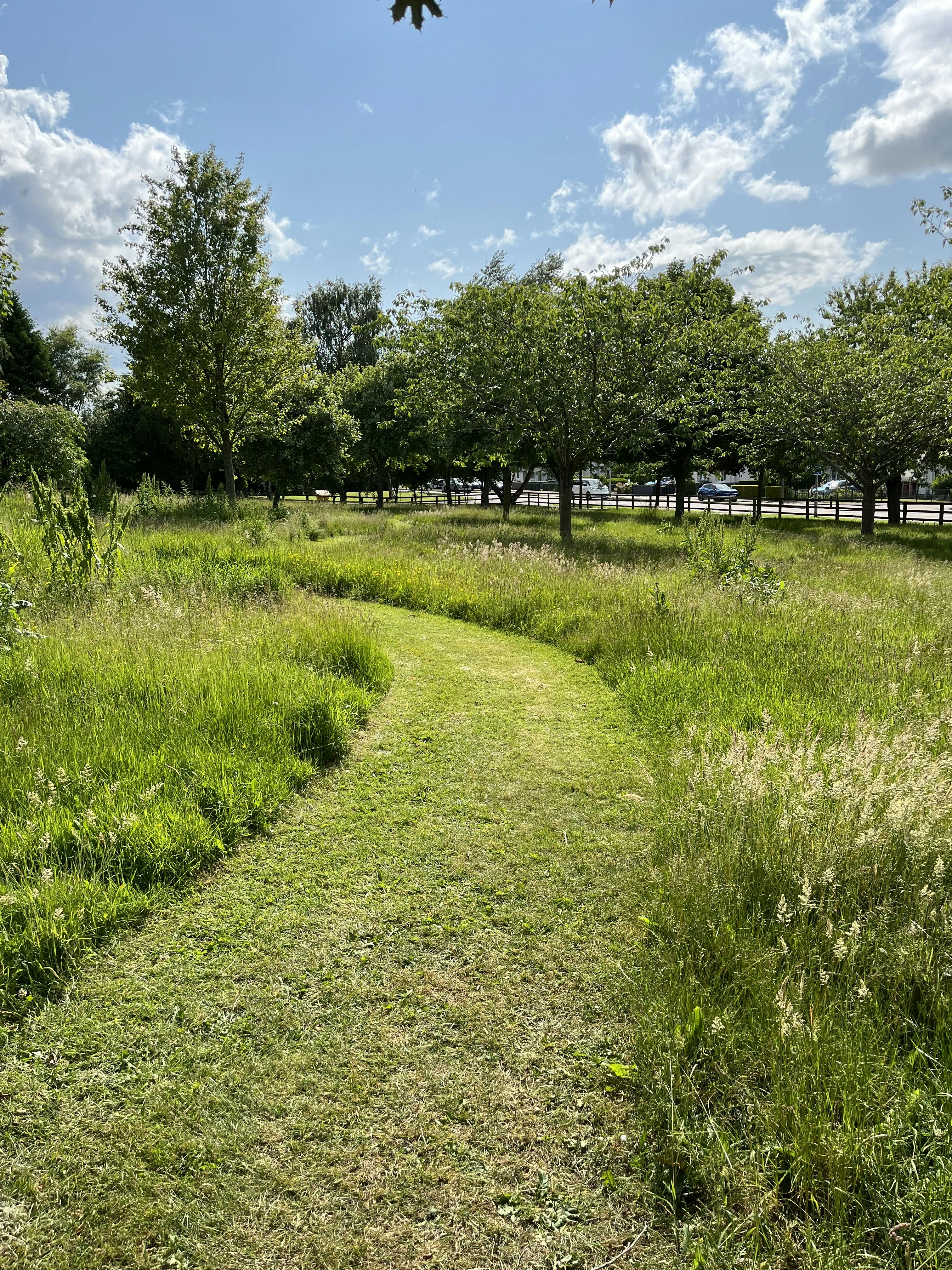 Mannachie Park winding paths through living lawn