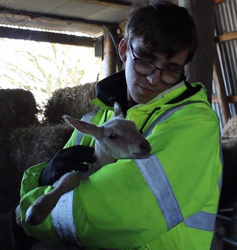 Learning on the job