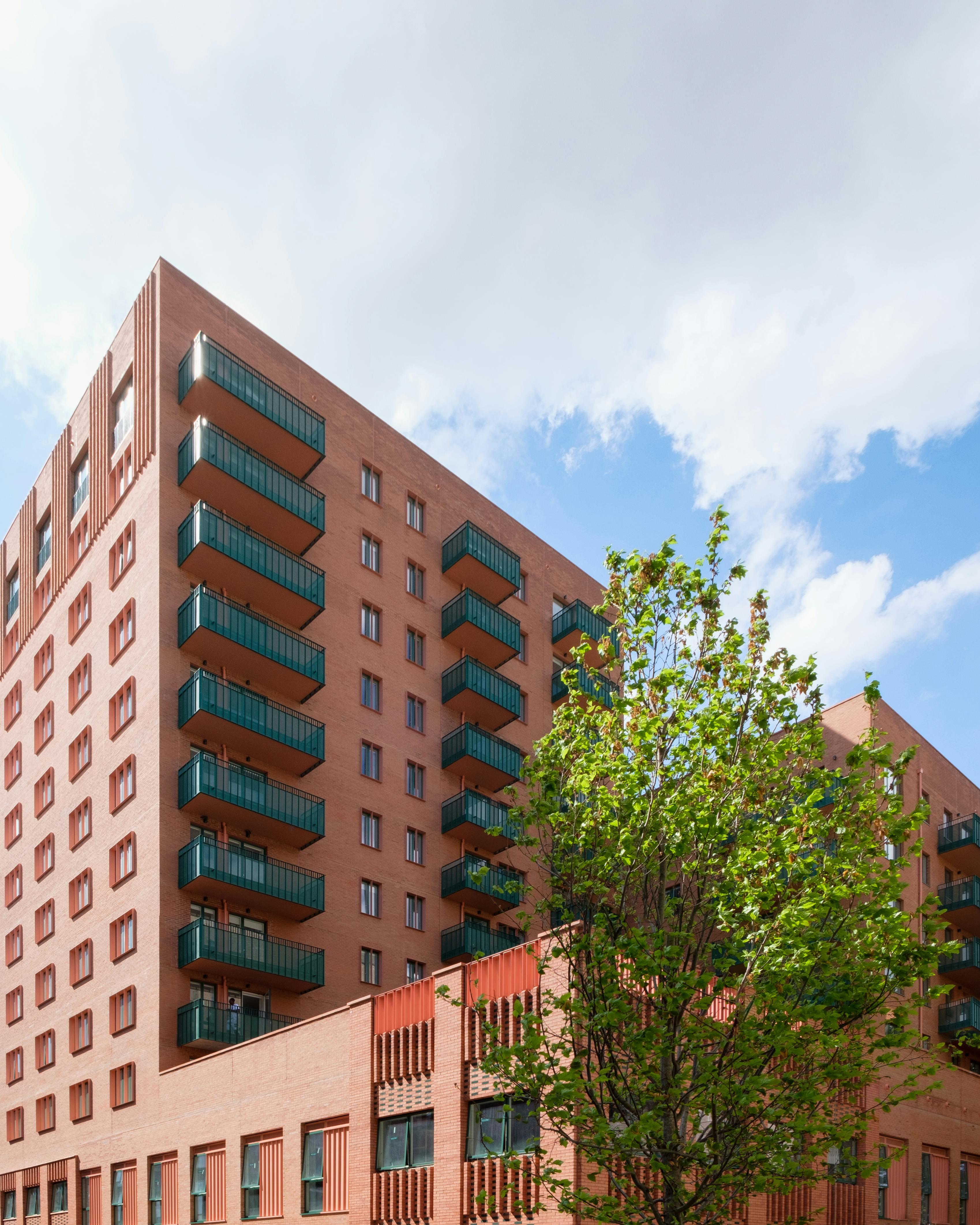 Jazz Yard-2_Fairlie.jpg