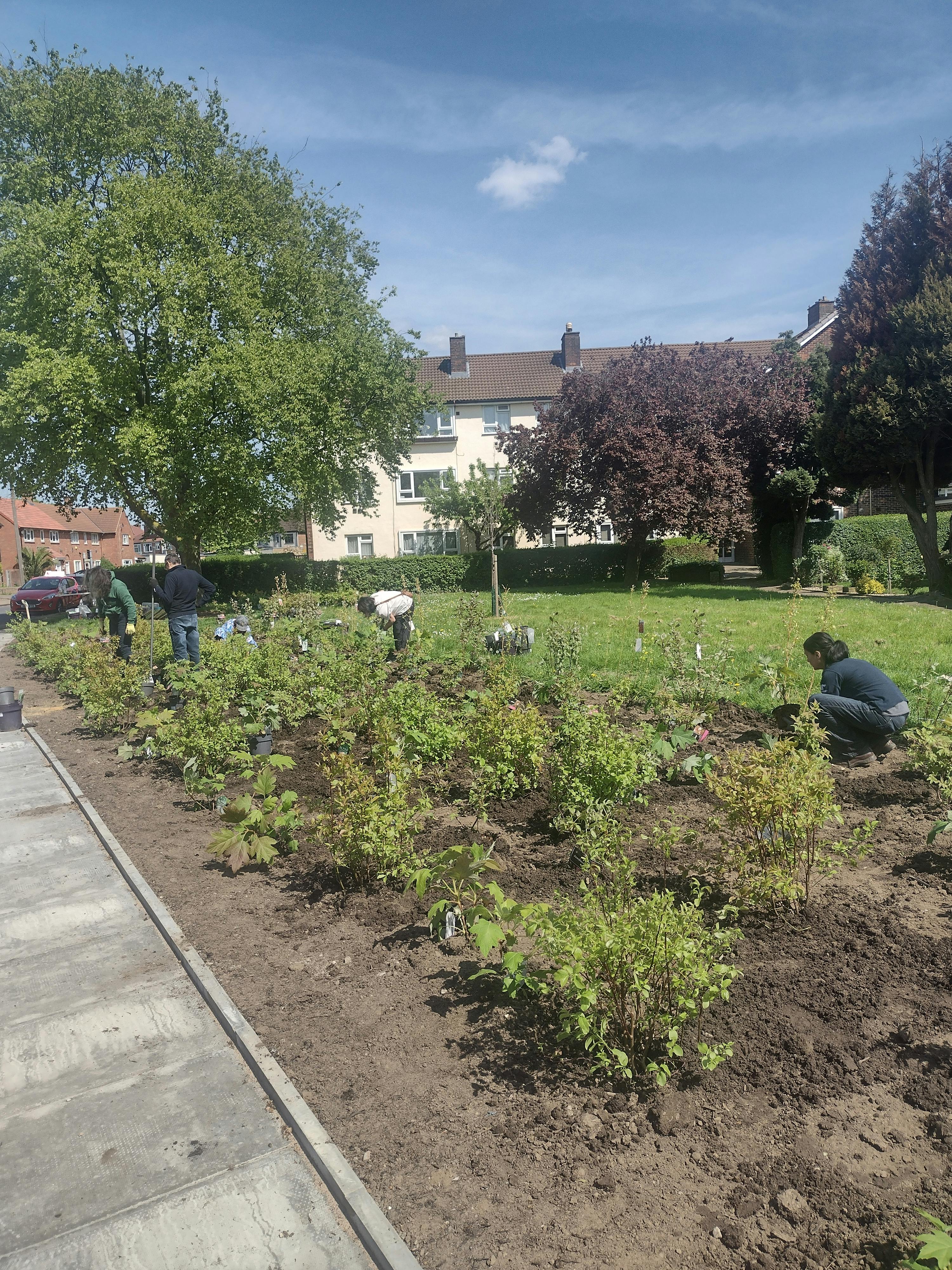 Renfrew Road Planting Day