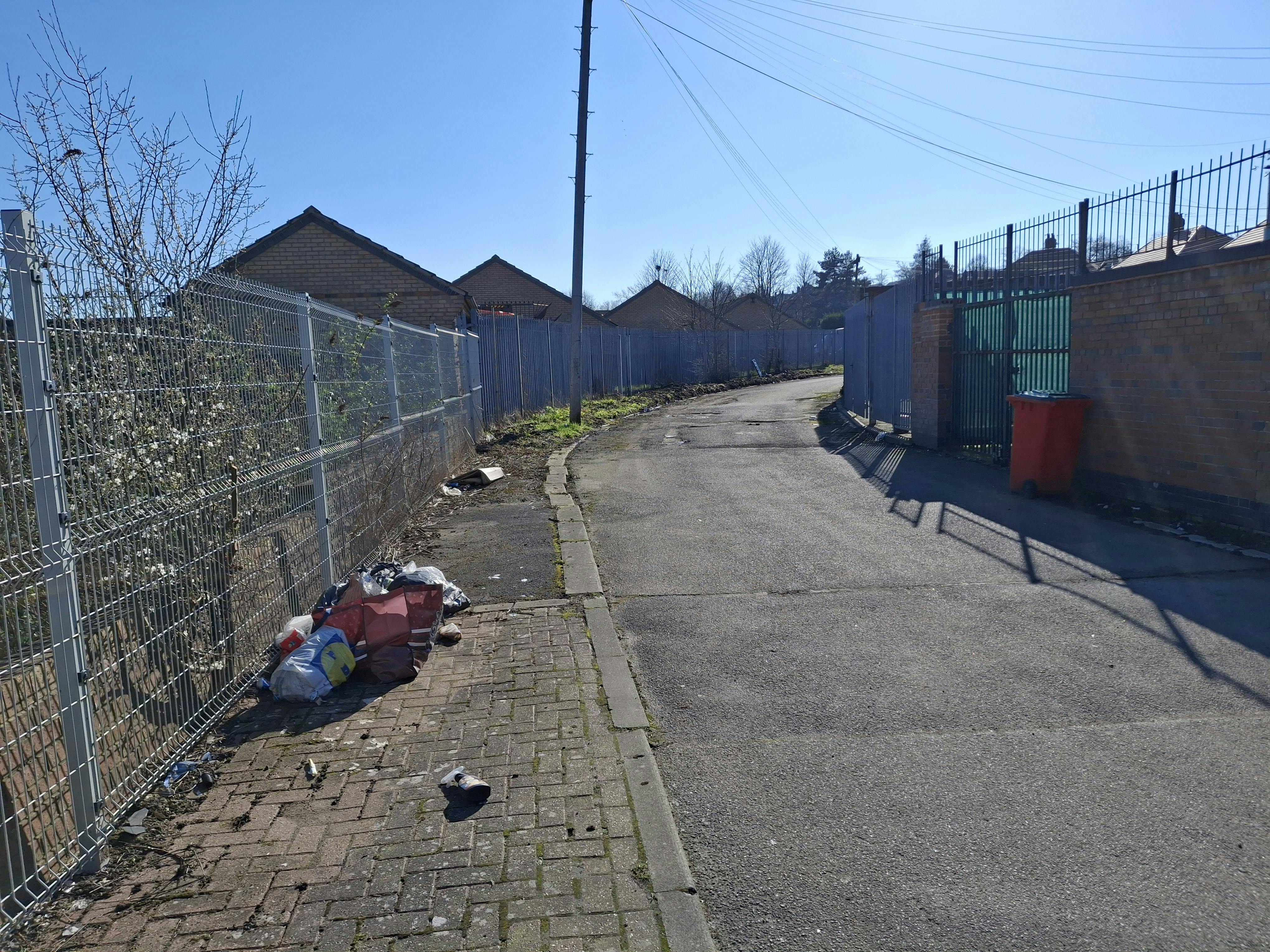 Bonsall Lane Clearance- before