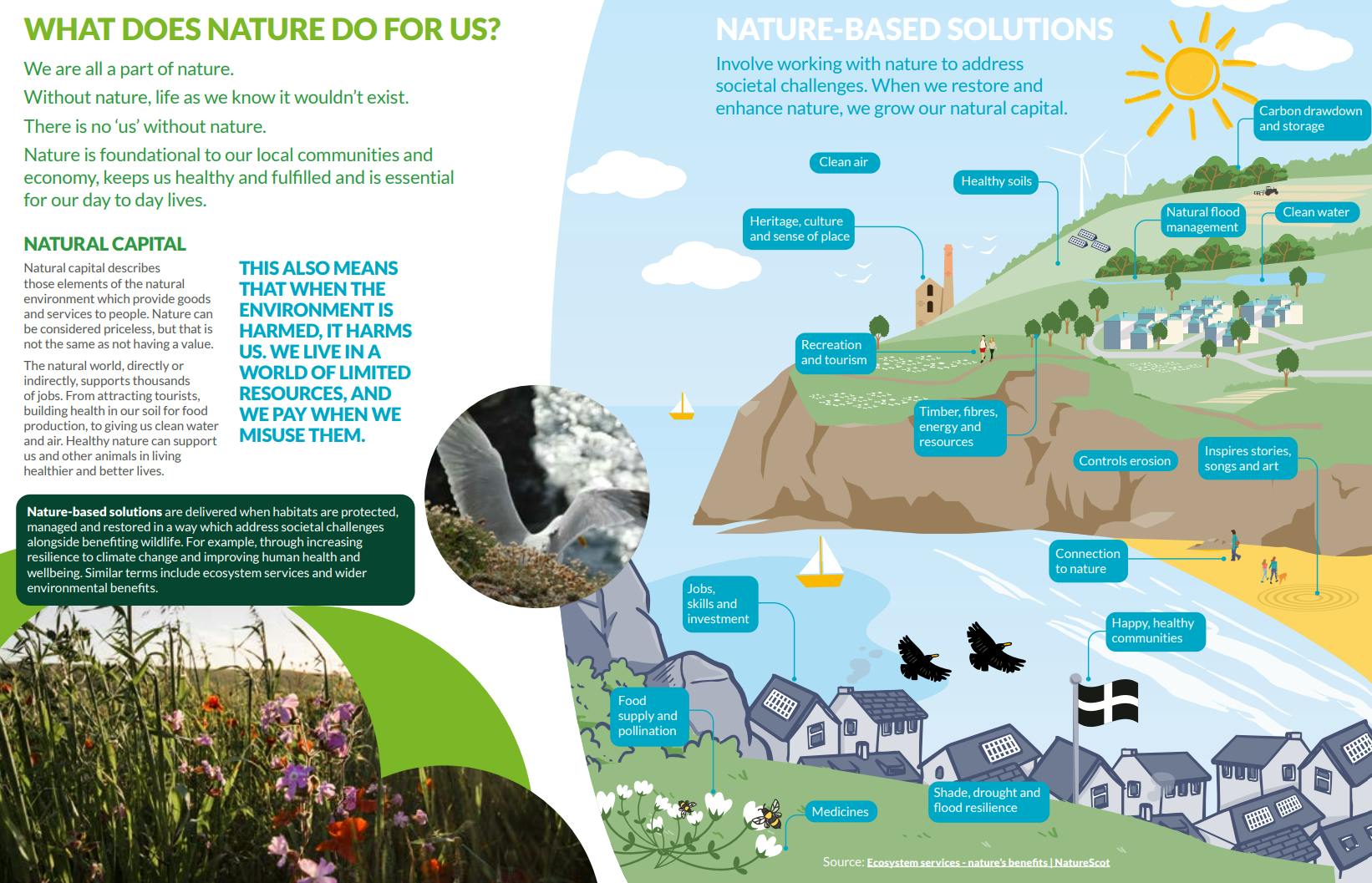 What Does Nature Do For Us.png