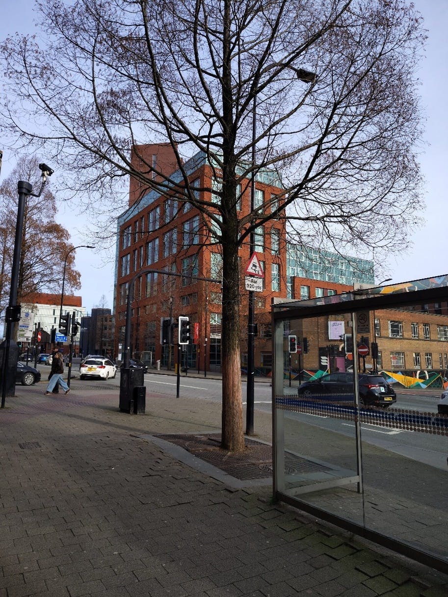 12054580ii.jpg