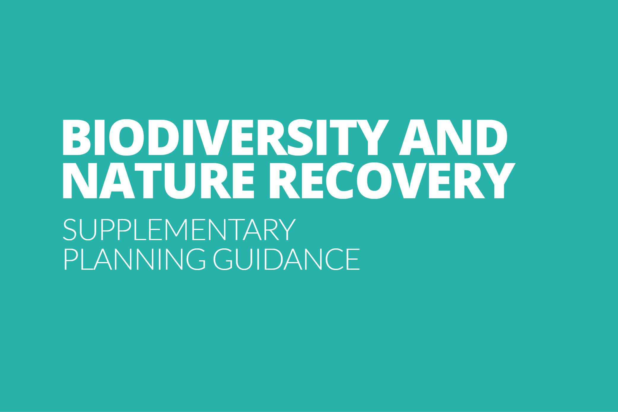 Biodiversity and Nature Recovery Text in a graphic