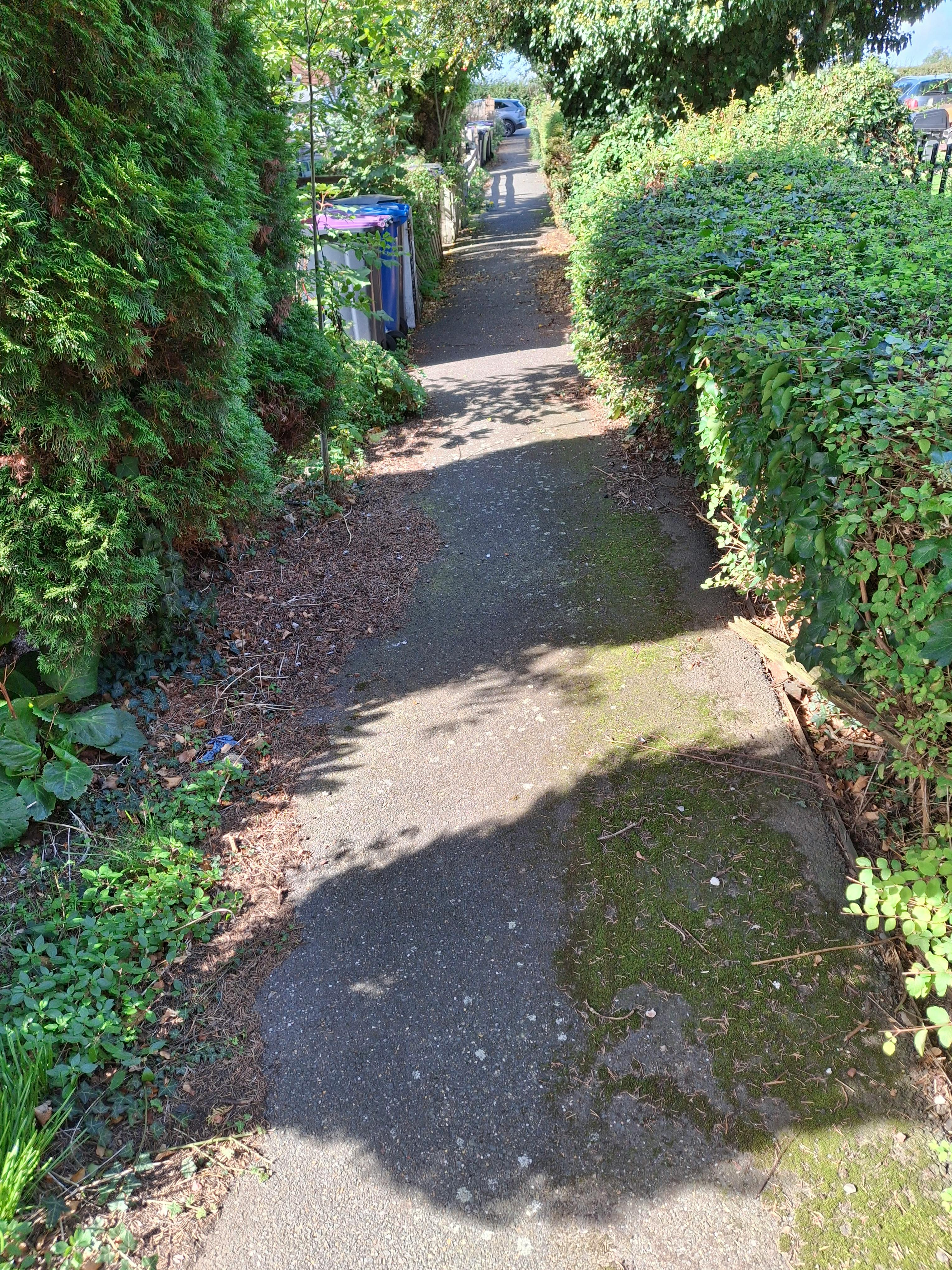 20260928_121730.jpg