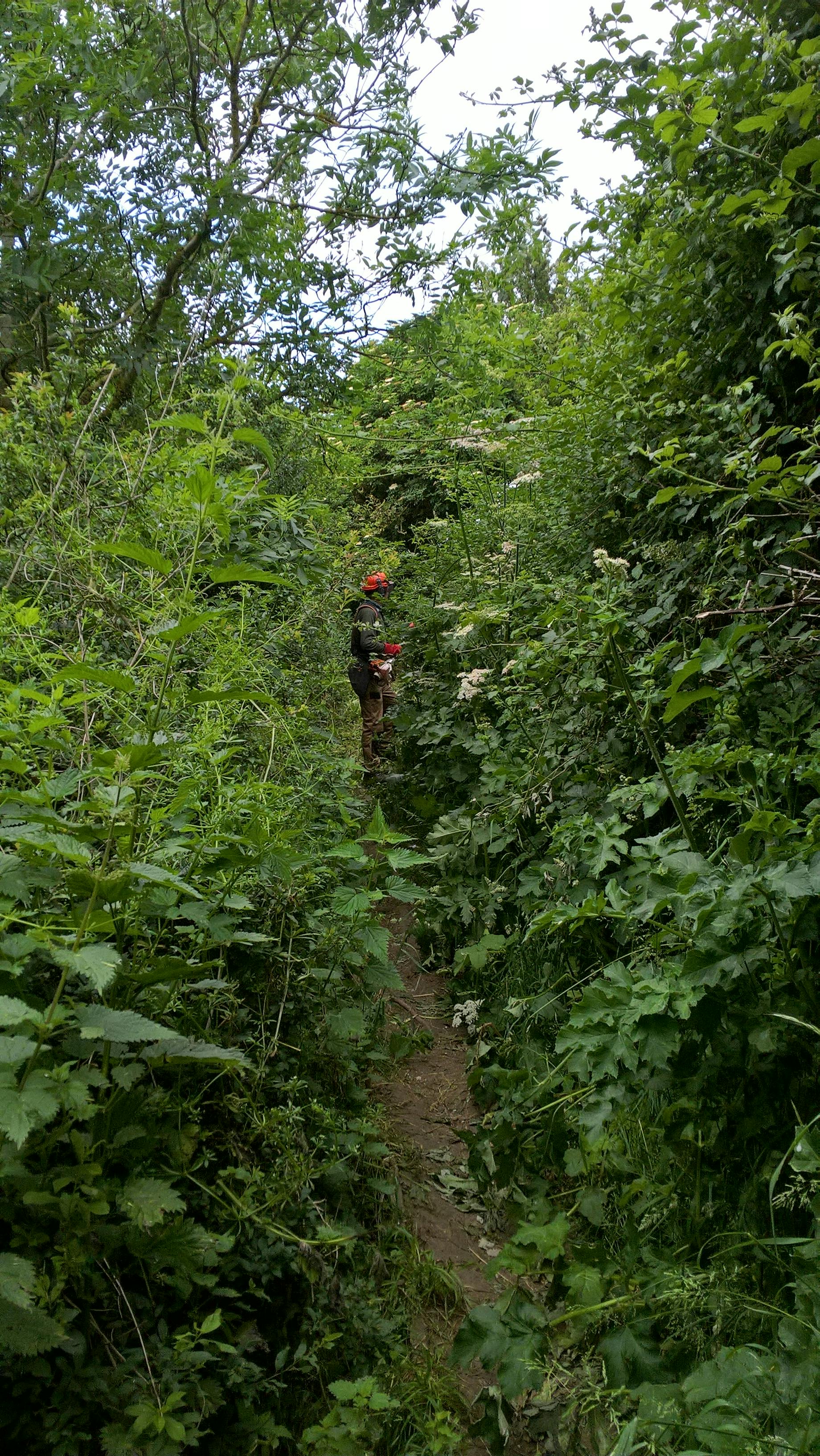 Dorset coast path - before works