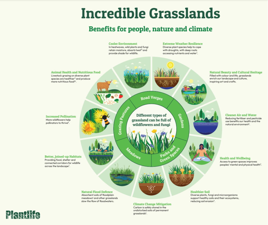 The incredible benefits of incredible grasslands!