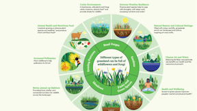 The incredible benefits of incredible grasslands!