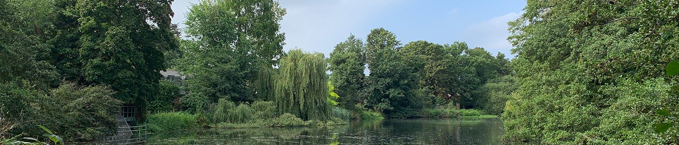 Temple Pond